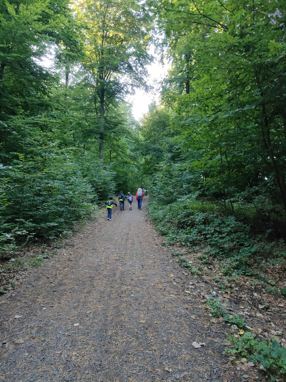 Wildpark_2c_1.jpg
